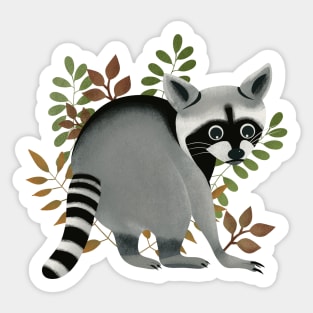 Cute raccoon Sticker